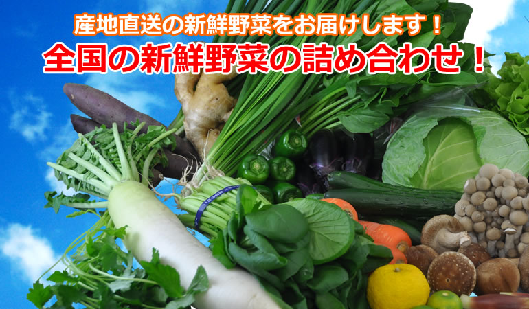 野菜の詰め合わせ1000円セット 八百屋エイト
